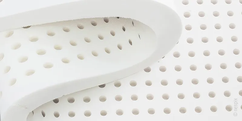 Gros plan sur de la mousse auréolée. 