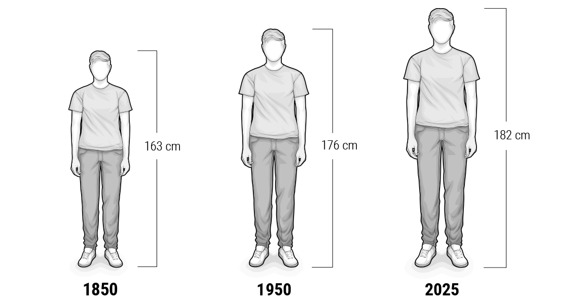 Comparaison de la taille de 3 personnes sur 3 années