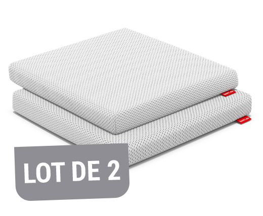 Lot de deux coussins de chaise