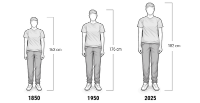 Comparaison de la taille de 3 personnes sur 3 années