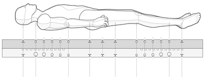Illustration: Querschnitt des Matratzenkern aus QXSchaum, darüber schwebt eine Person.